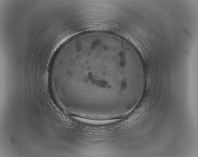 X0000113010975200908271405