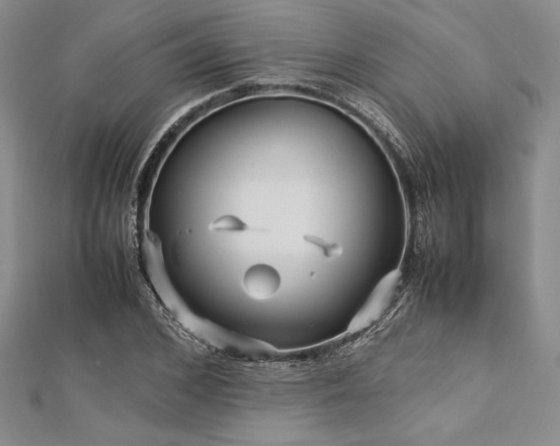 X0000113010976200908271405