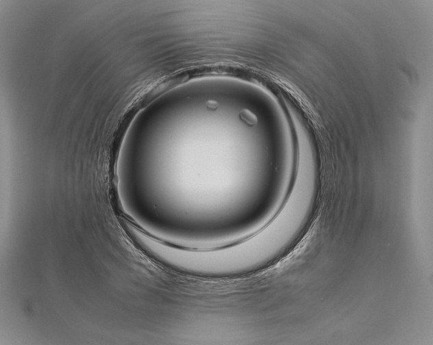 X0000113010977200908271405