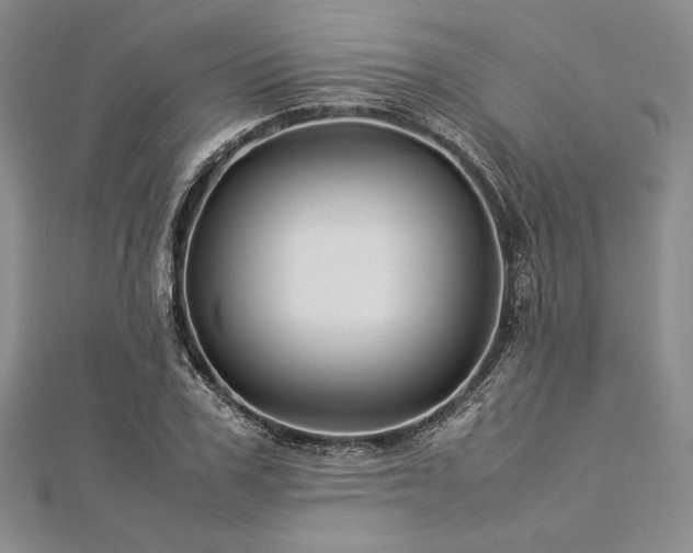 X0000113010979200908271405