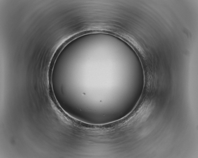 X0000113010980200908271405