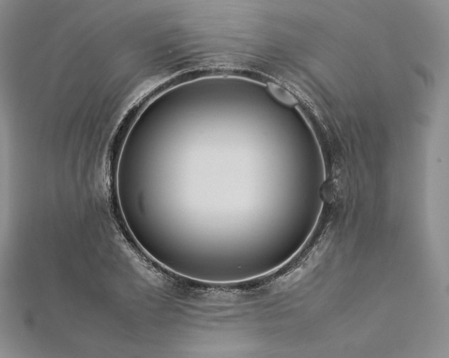 X0000113010981200908271405