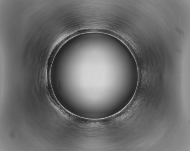 X0000113010982200908271405