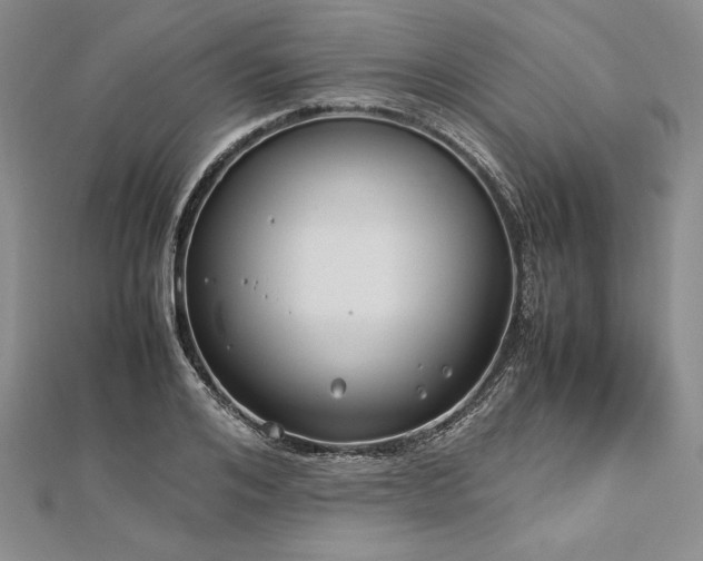 X0000113010984200908271405