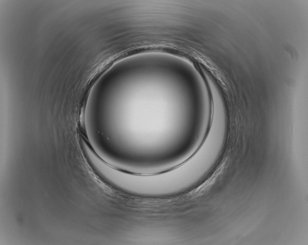 X0000113010985200908271405