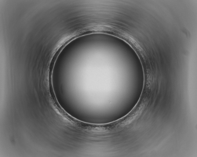 X0000113010986200908271405