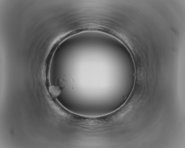 X0000113010987200908271405