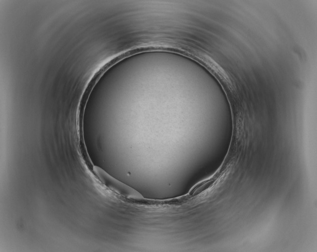 X0000113010988200908271405