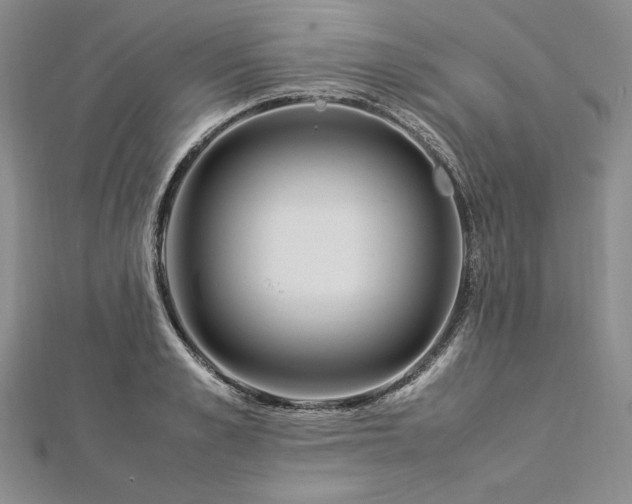 X0000113010989200908271405