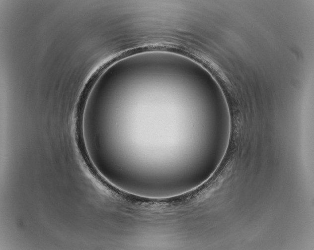 X0000113010991200908271405