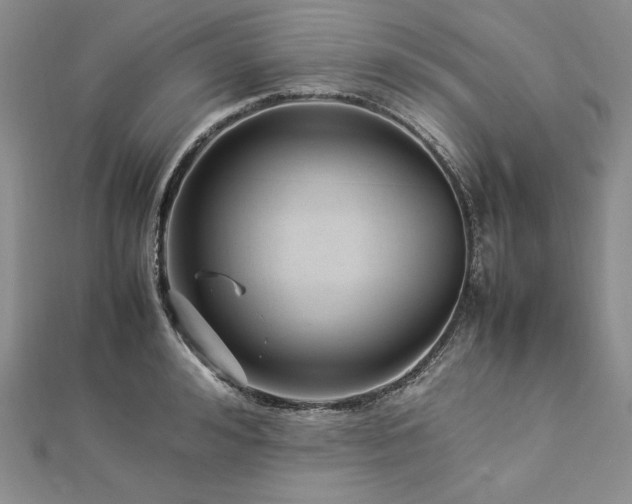 X0000113010992200908271405