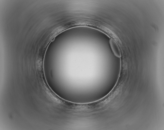 X0000113010993200908271405