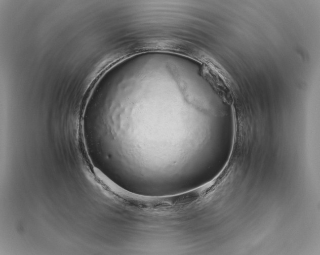 X0000113010994200908271405