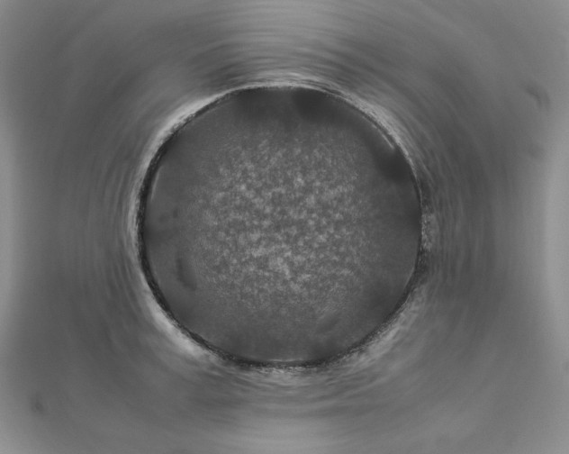 X0000113010995200908271405