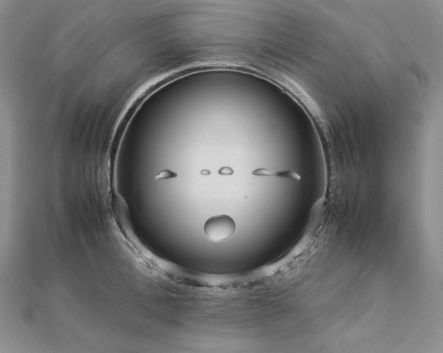 X0000113010996200908271405