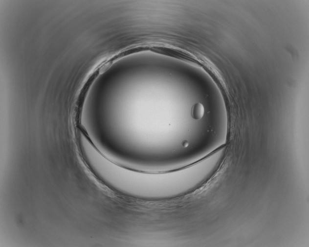 X0000113010997200908271405