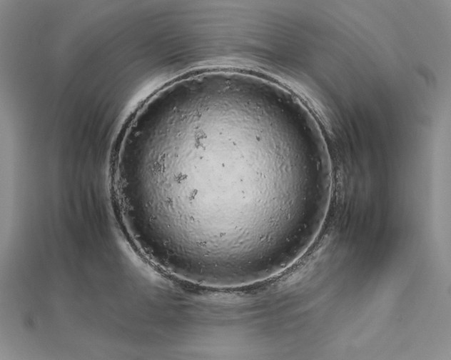 X0000113010998200908271405