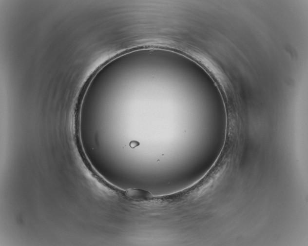 X0000113010999200908271405