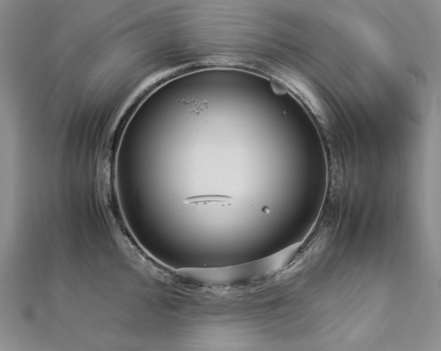 X0000113011000200908271405