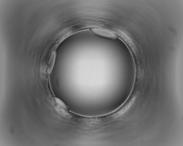 X0000113011001200908271405