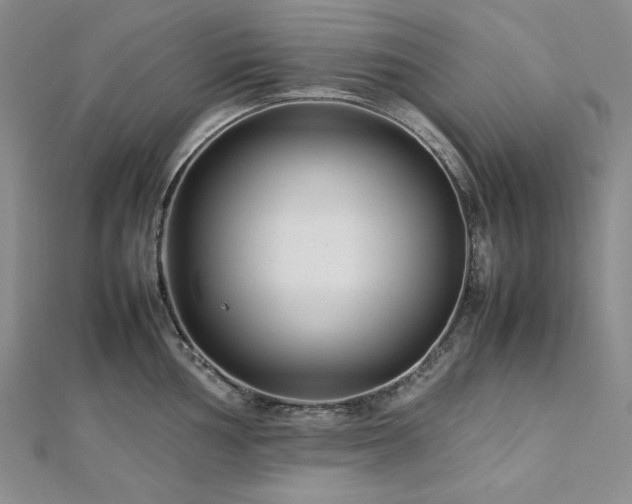 X0000113011002200908271405