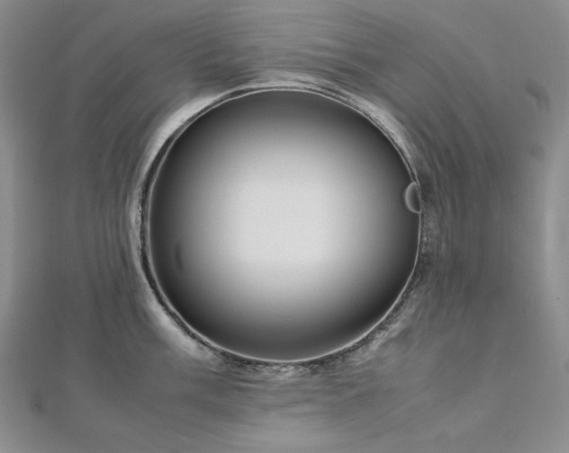 X0000113011003200908271405