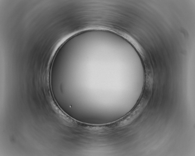 X0000113011004200908271405