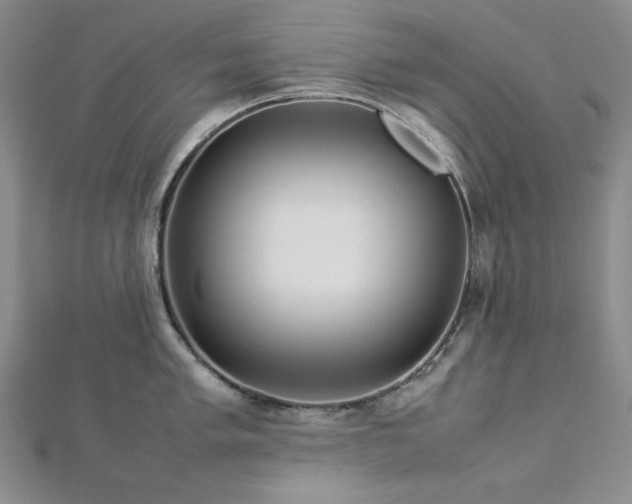 X0000113011005200908271405