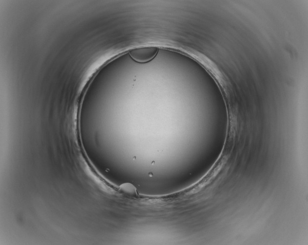 X0000113011006200908271405