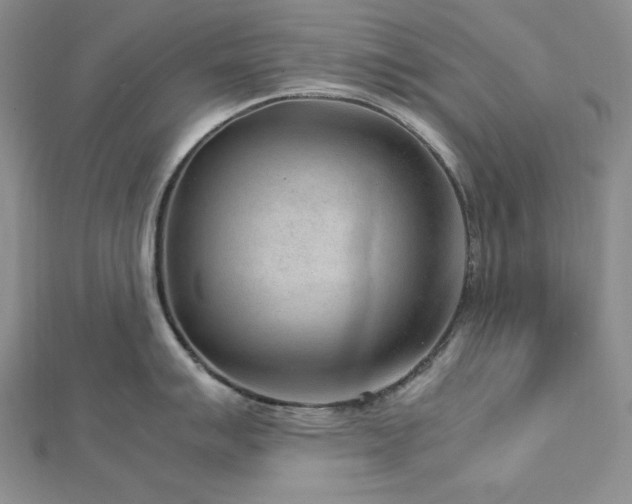 X0000113011007200908271404