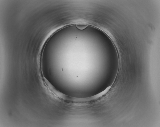 X0000113011008200908271404