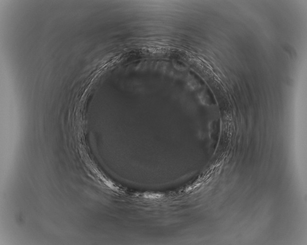 X0000113011009200908271404