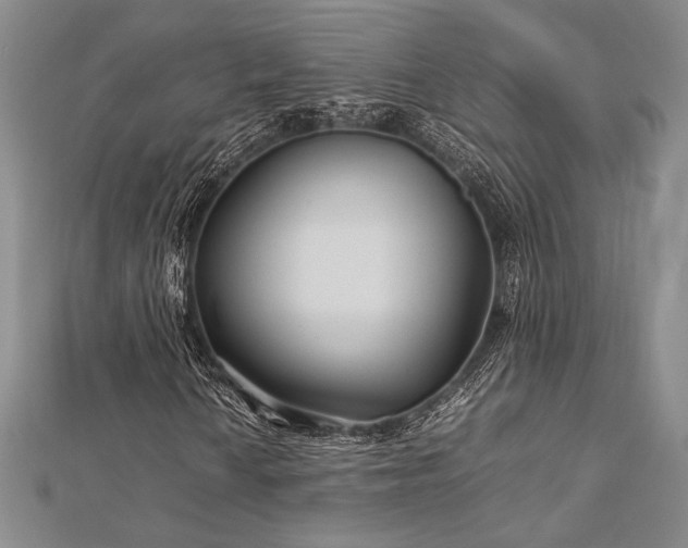 X0000113011010200908271404