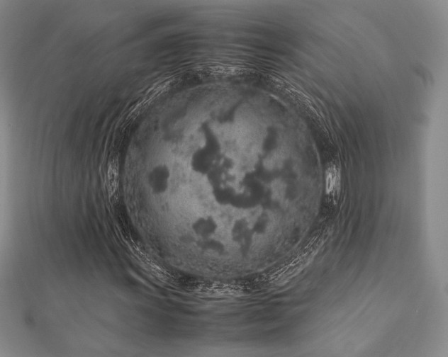 X0000113011011200908271404