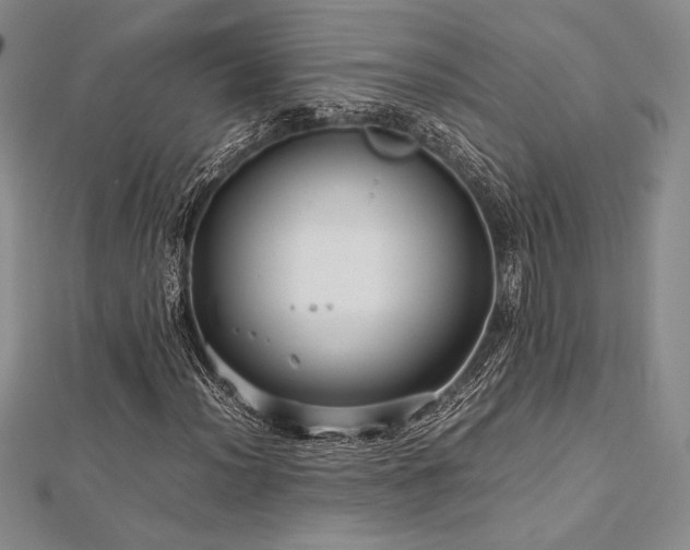 X0000113011012200908271404