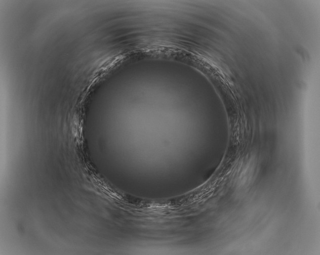 X0000113011013200908271404