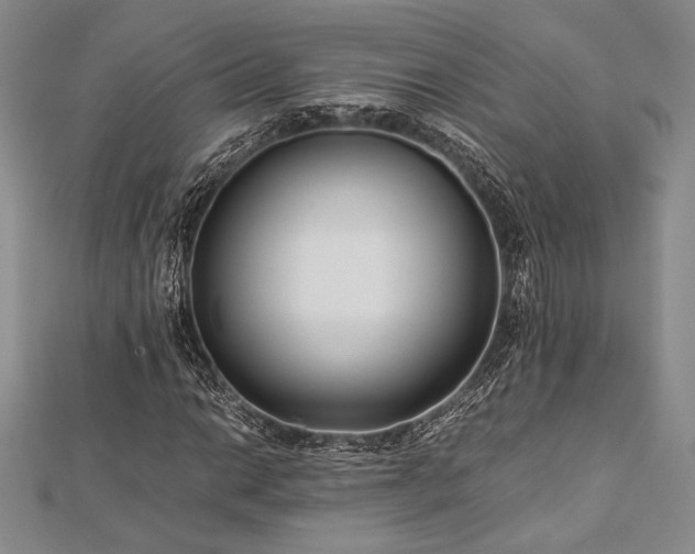 X0000113011014200908271404