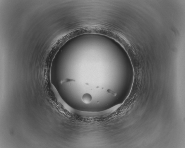 X0000113011016200908271404