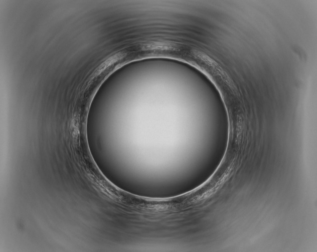 X0000113011017200908271404