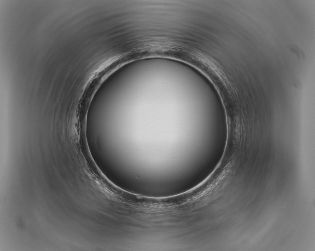 X0000113011018200908271404