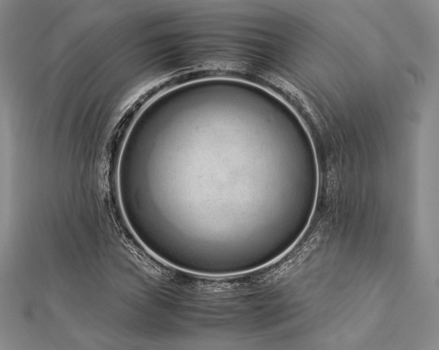 X0000113011019200908271404