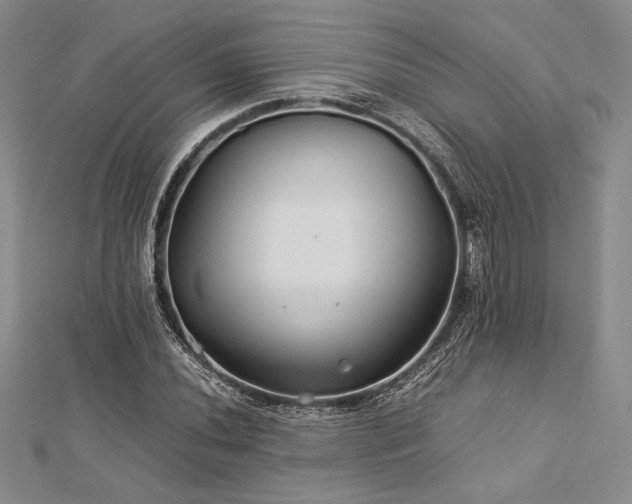 X0000113011020200908271404