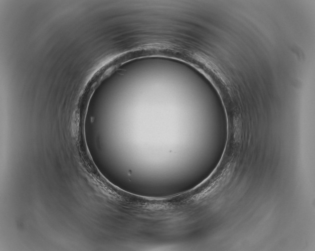 X0000113011021200908271404