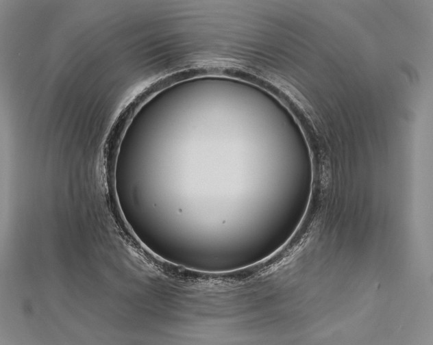 X0000113011022200908271404