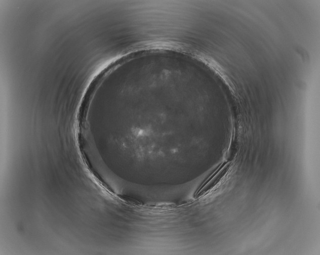 X0000113011024200908271404