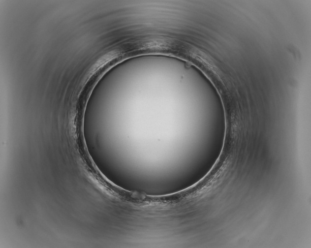 X0000113011026200908271404