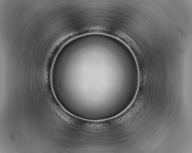 X0000113011027200908271404