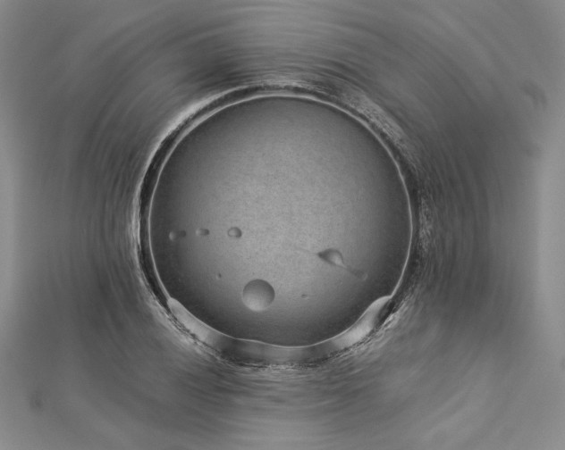 X0000113011028200908271404