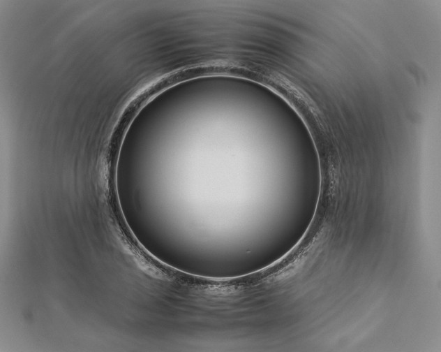 X0000113011029200908271404