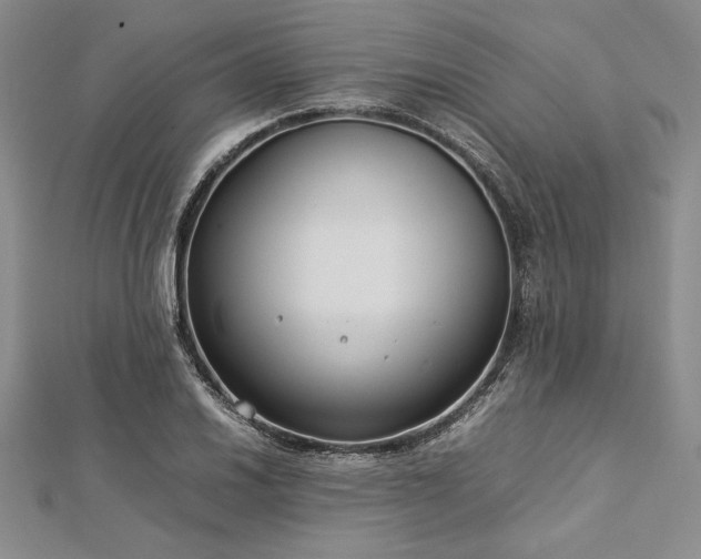 X0000113011030200908271404